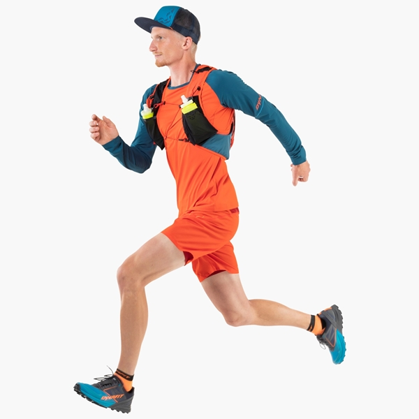 Dynafit Alpine Pro M L/S Tee 2 Dynafit Alpine Pro M L/S Tee - Image 2