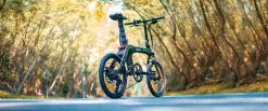 Electric Bicycle Fiido D21 (36 V / 11,6 Ah), Foldable 21 Electric Bicycle Fiido D21 (36 V / 11,6 Ah), Foldable -pyöräkauppa elektrijalgratas fiido d21 10