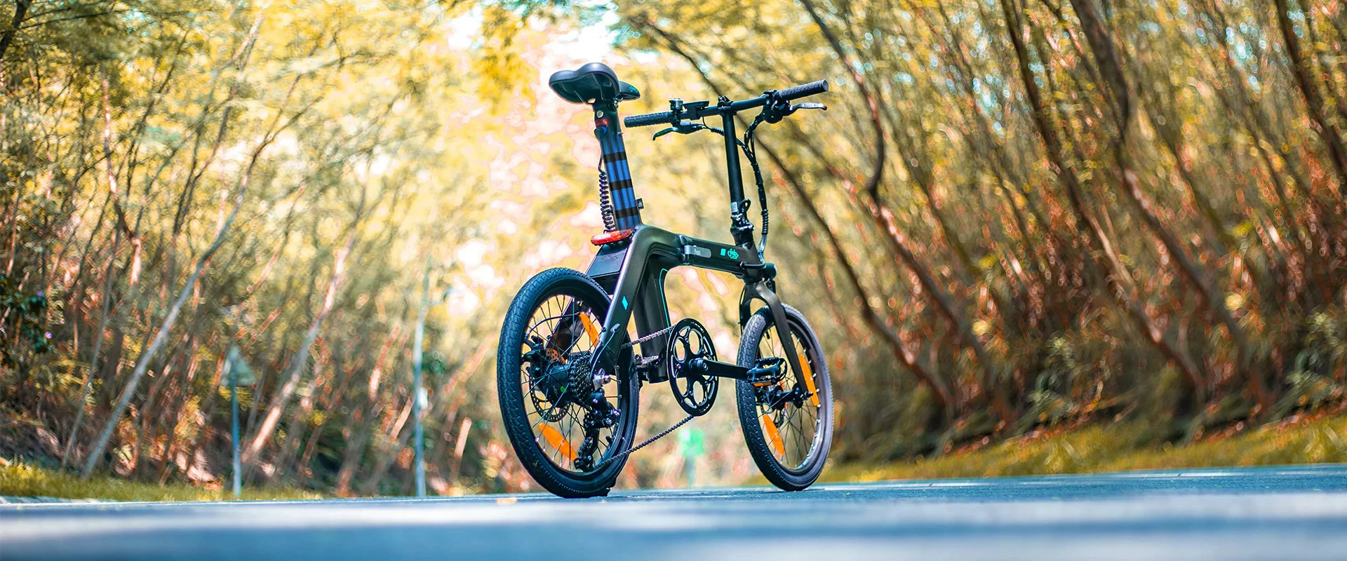 Electric Bicycle Fiido D21 (36 V / 11,6 Ah), Foldable 11 Electric Bicycle Fiido D21 (36 V / 11,6 Ah), Foldable - Image 11