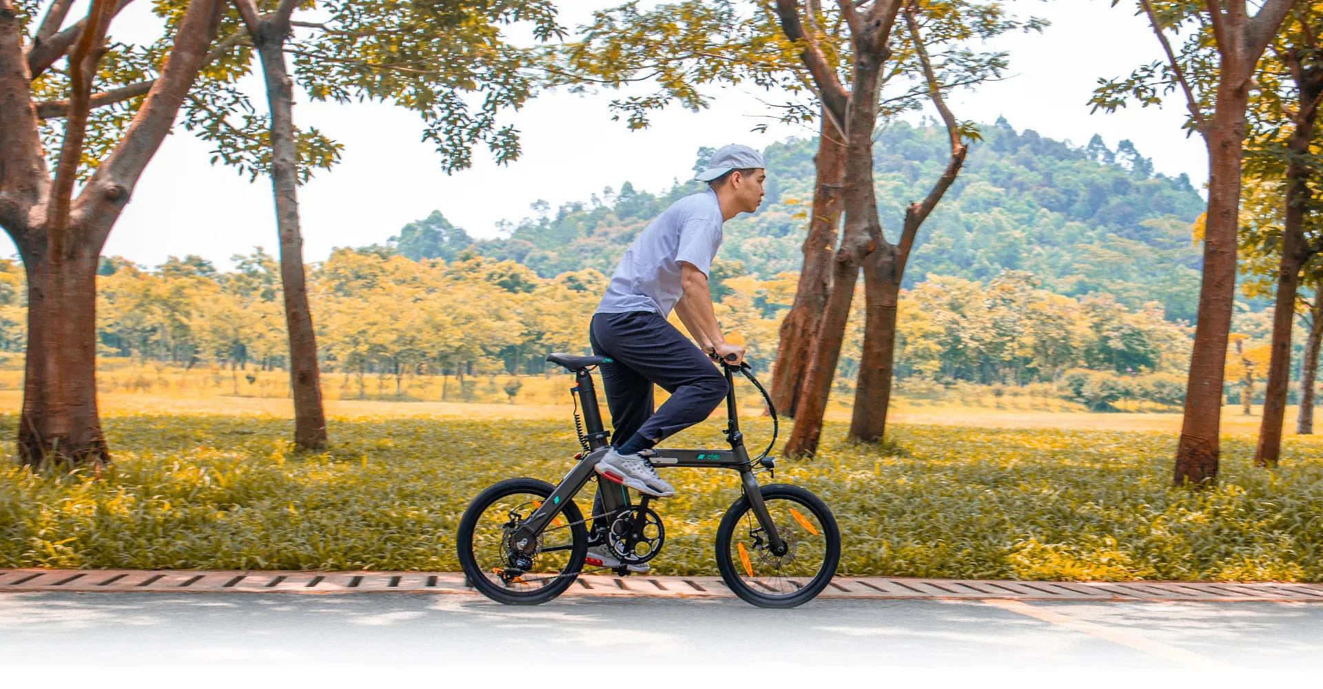 Electric Bicycle Fiido D21 (36 V / 11,6 Ah), Foldable 10 Electric Bicycle Fiido D21 (36 V / 11,6 Ah), Foldable - Image 10