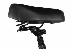 Electric Bicycle Fiido T1 PRO (48 V / 20 Ah) 17 Electric Bicycle Fiido T1 PRO (48 V / 20 Ah) -pyöräkauppa elektrijalgratas fiido t1 9