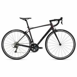 Bicycle Giant Contend 1, Rosewood